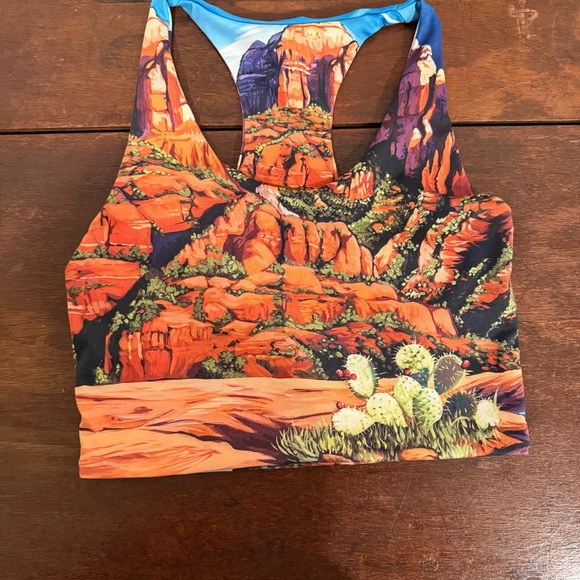 Youer Tops - Kind Apparel (Youer) X Rachel Pohl Cathedral Rock crop top